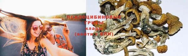 стафф Абдулино
