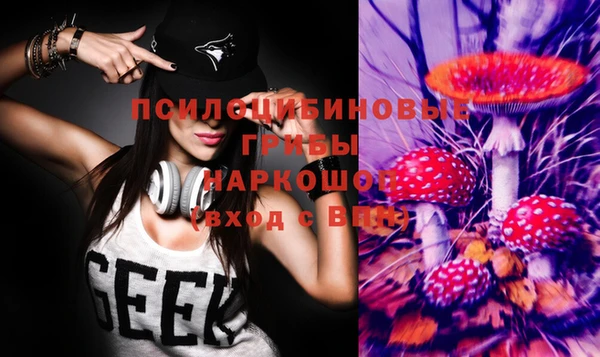марки lsd Абаза