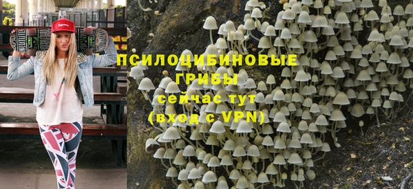 стафф Абдулино
