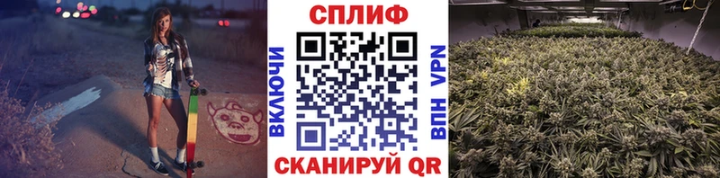МАРИХУАНА план  Богородицк 